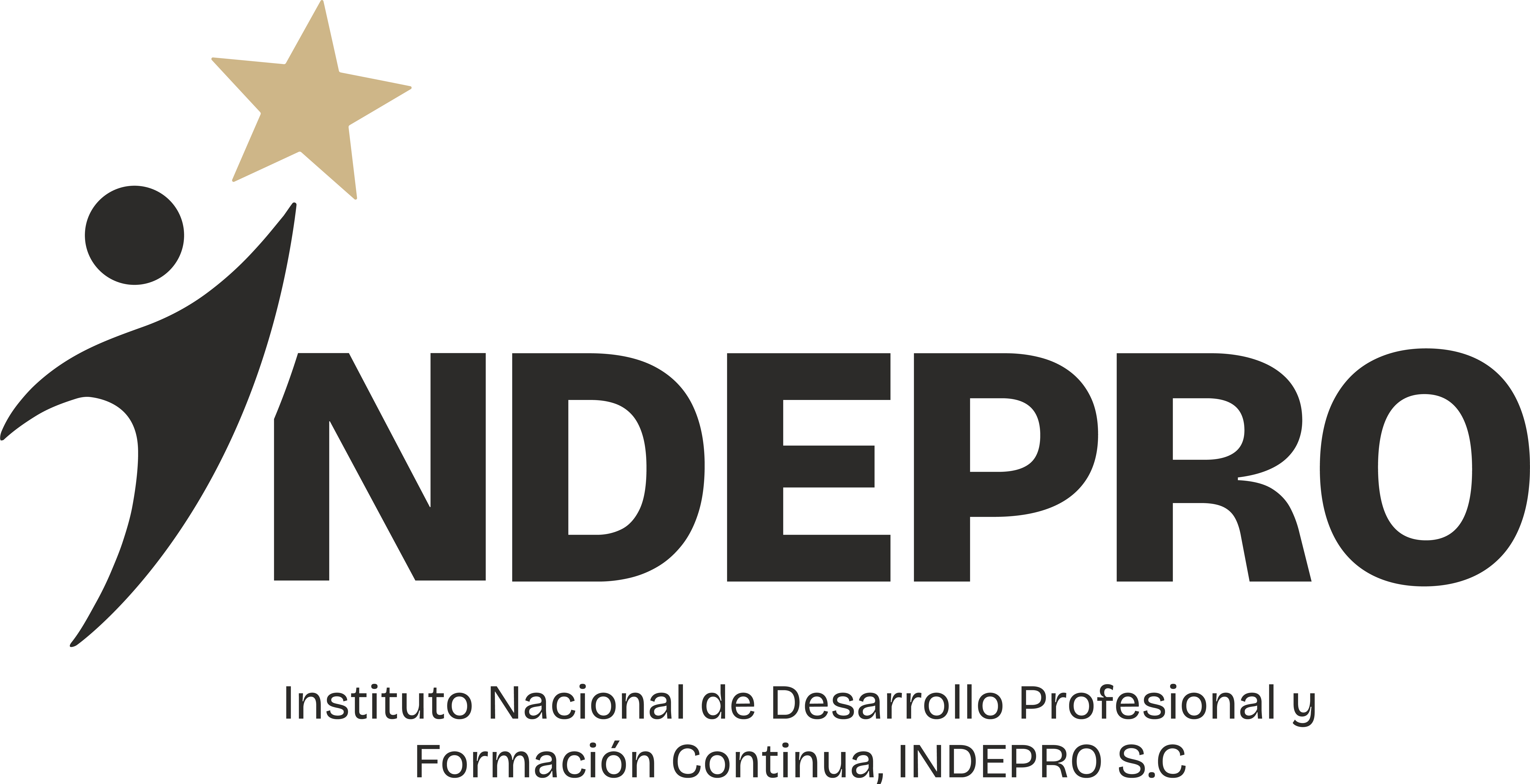 Institutoindepro